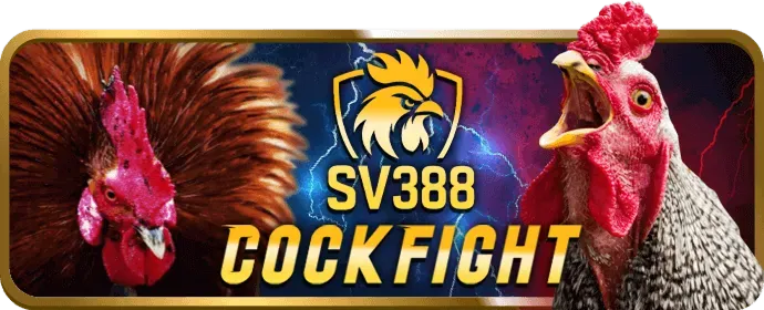 Game Hải Tặc Bắn Cá q888